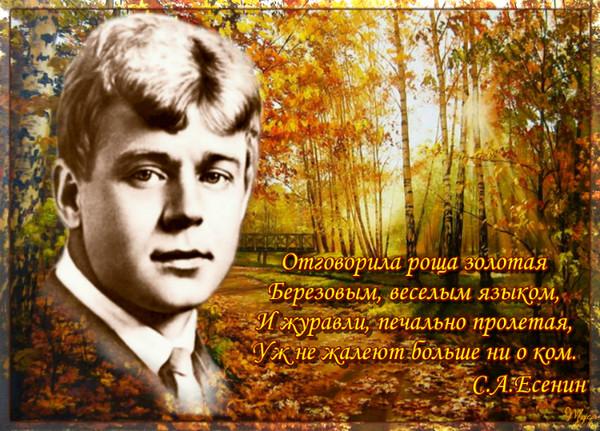 Засеребрилась осень золотая