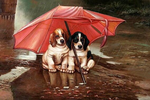 Две собаки - один зонт