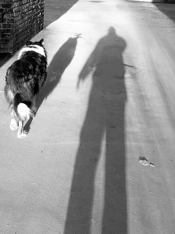 Сочтен за прок