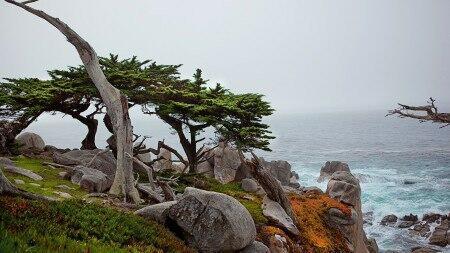 РАСТРЕПАННЫЕ МЫСЛИ (ЧИТАЕТ АВТОР )    старый  альбом