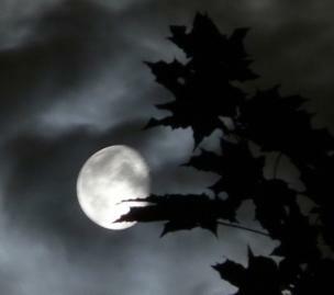 ИЮЛЬСКОЕ ПОЛНОЛУНИЕ