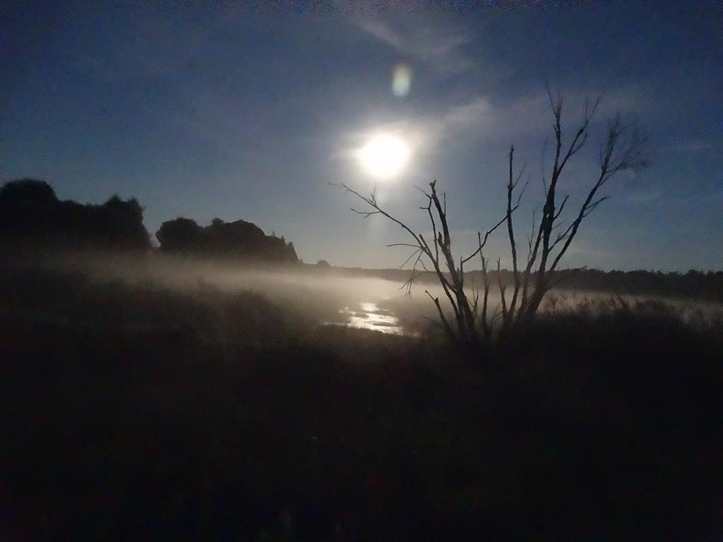 Вечный странник