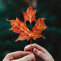 Мой осенний листок