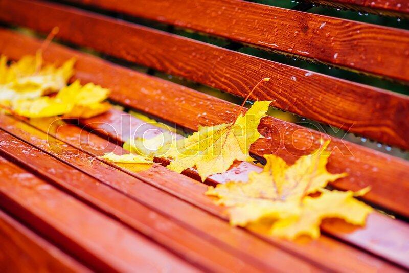 На скамейке