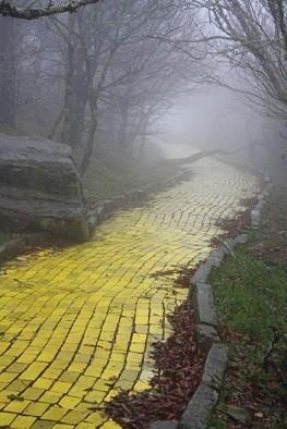 Дорога из жёлтого кирпича