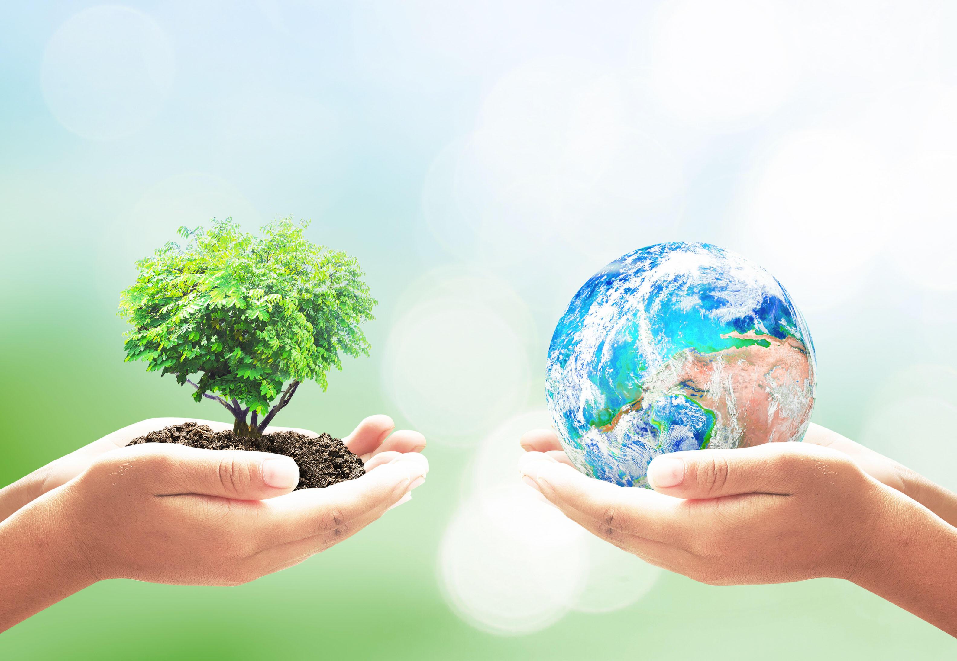 АВГУСТ УХОДИТ. АКРОСТИХИ