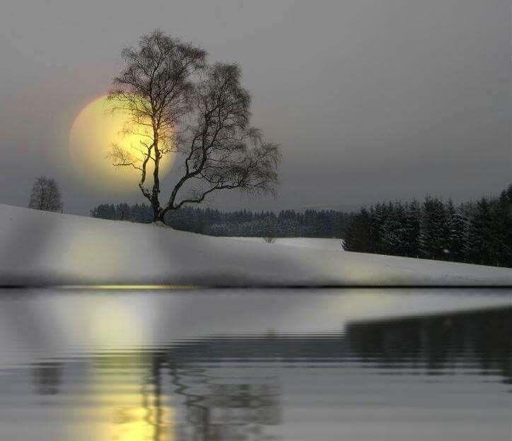 Неподражаем