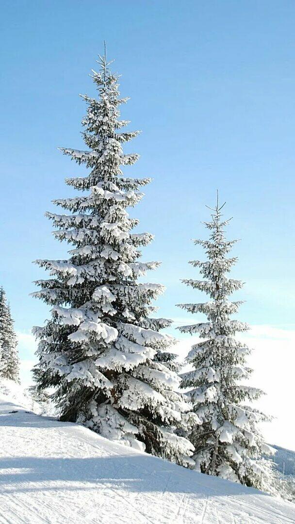 Метёт которую неделю