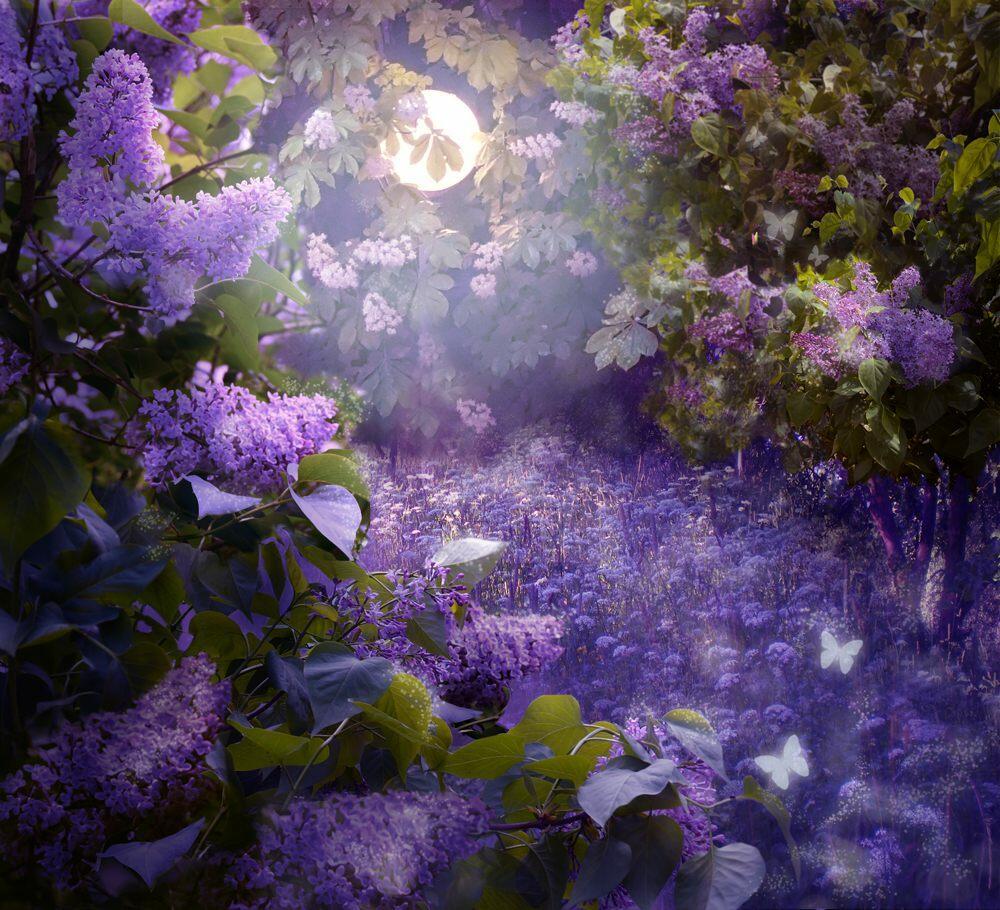 Сиреневый вечер