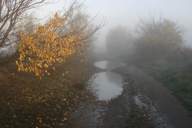 Ноябрьское