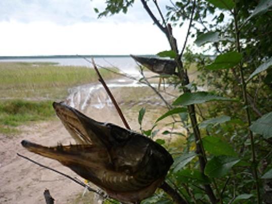 А я всего-то во второй лишь раз