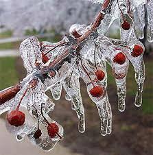 ВЕСЕННЯЯ КАПЕЛЬ...