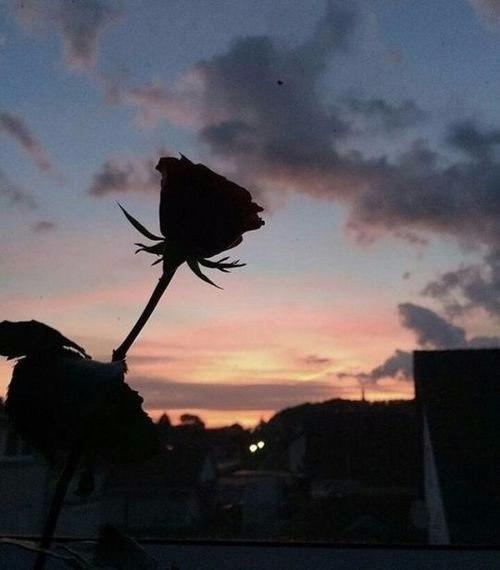 Не вижу смысла