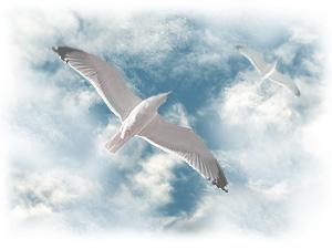 Лечение красотой от 27. 07. 2010