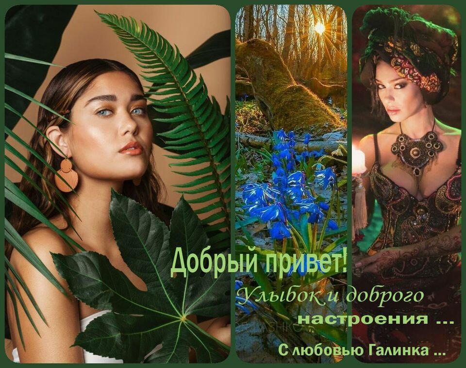 Как у леса, как у брода,    Галинка Багрецова