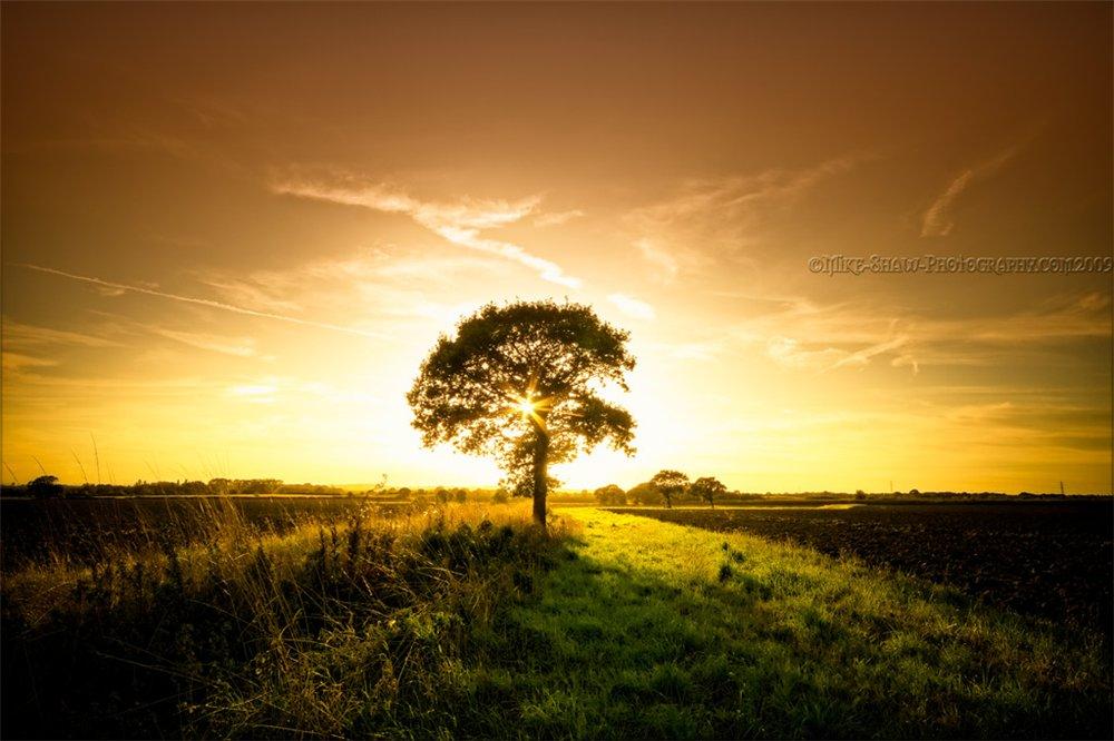 Последний закат.