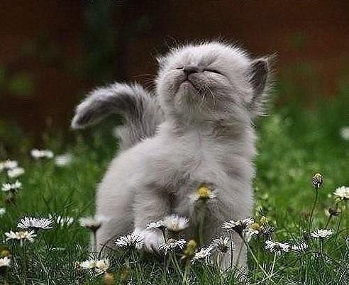 !!!!!!!!!!!ДУША!!!!!!!!!!!!!!!