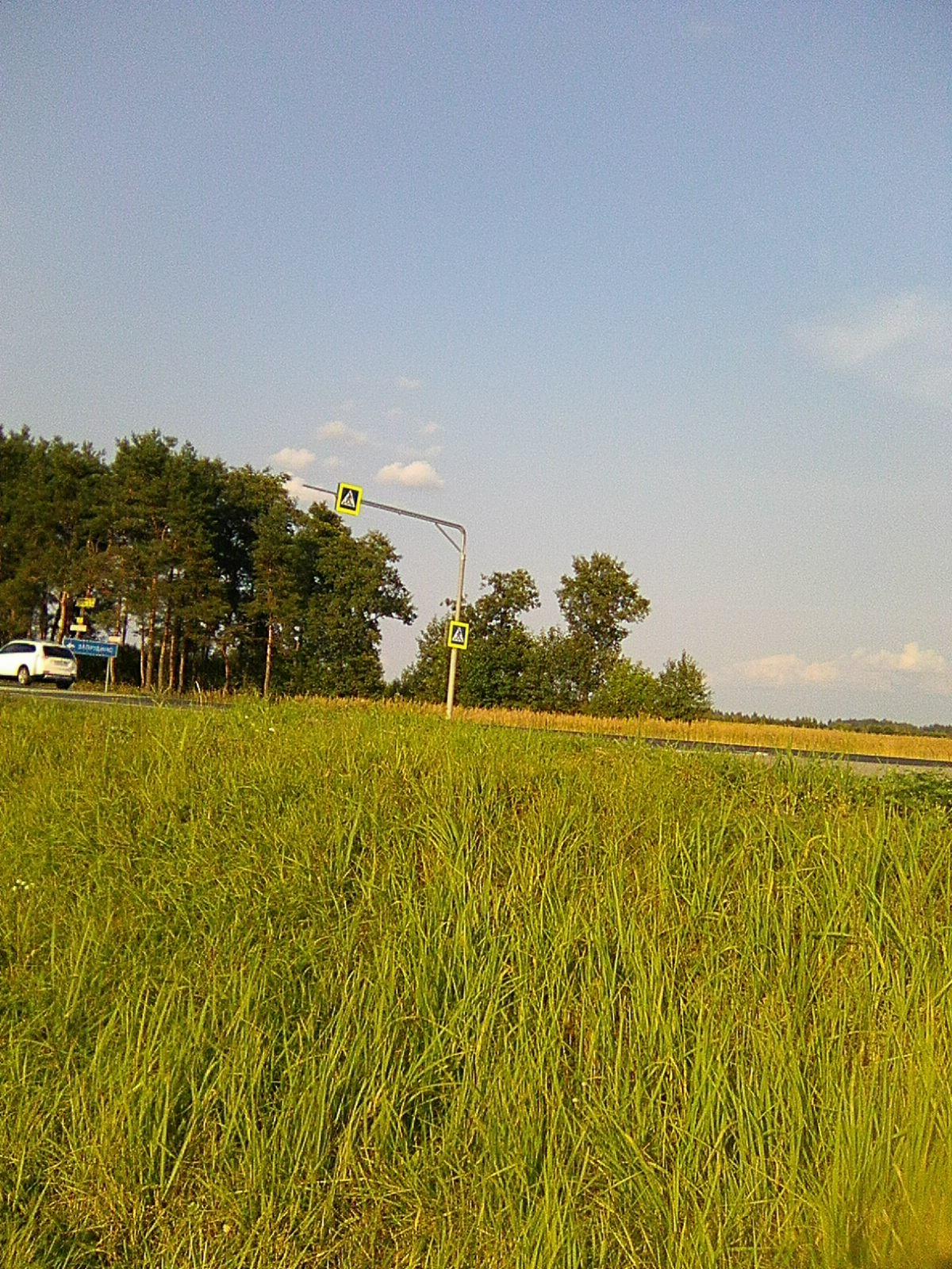 ВЬЮТСЯ ТУЧКИ- ПИЛИГРИМЫ