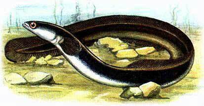 Облом (мини-рассказ)