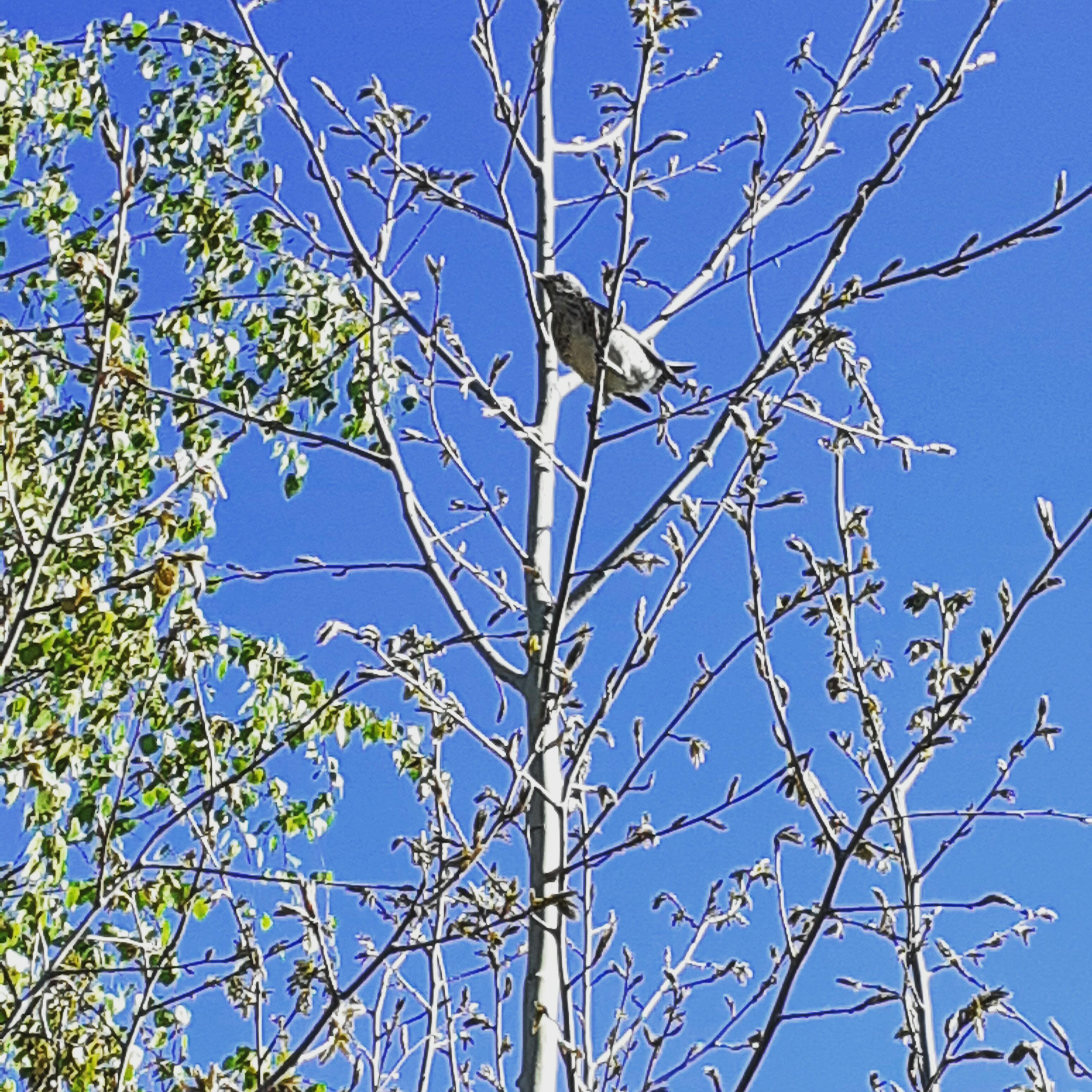 Отдыхает душа