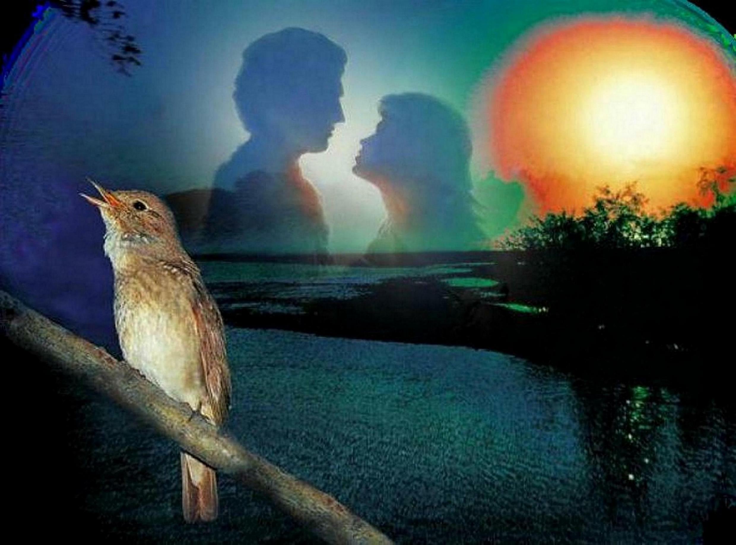 ЛИРИКА ЛЮБВИ !