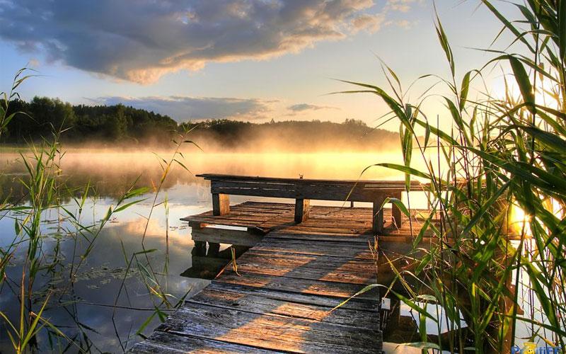 Летним утром