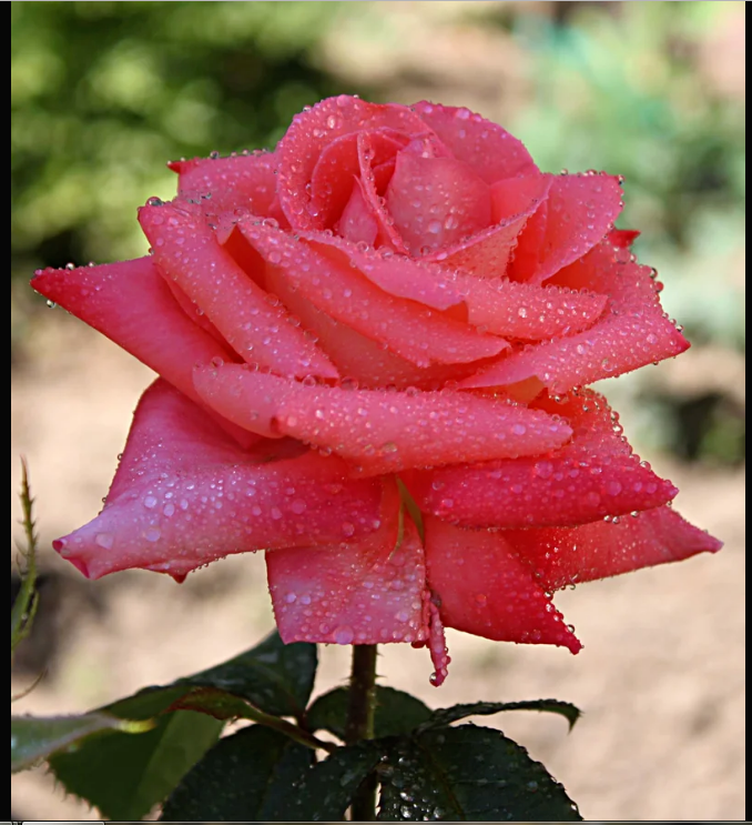 КОНЧИЛИСЬ ВЬЮГИ!