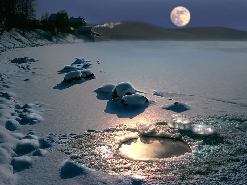 Боли полынья...