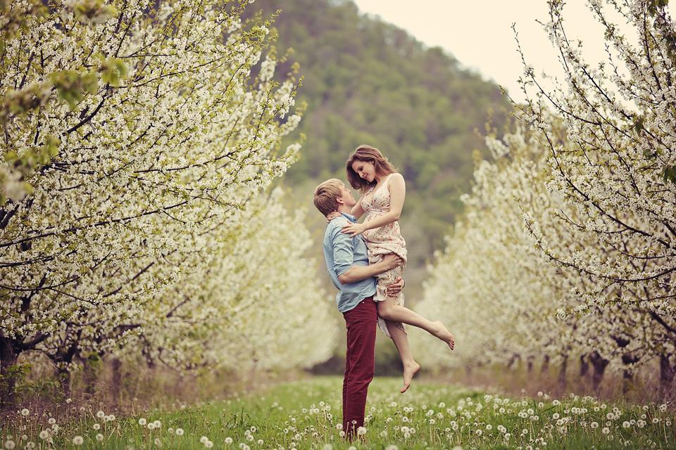 Квіти на гілках