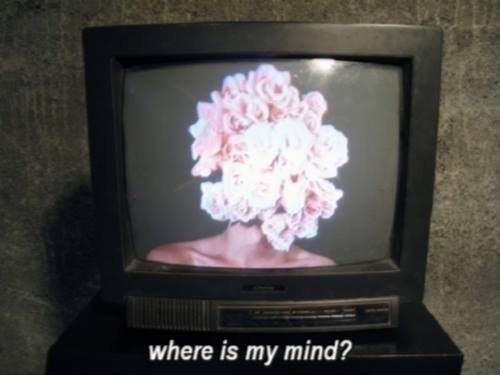 Wheres my mind?