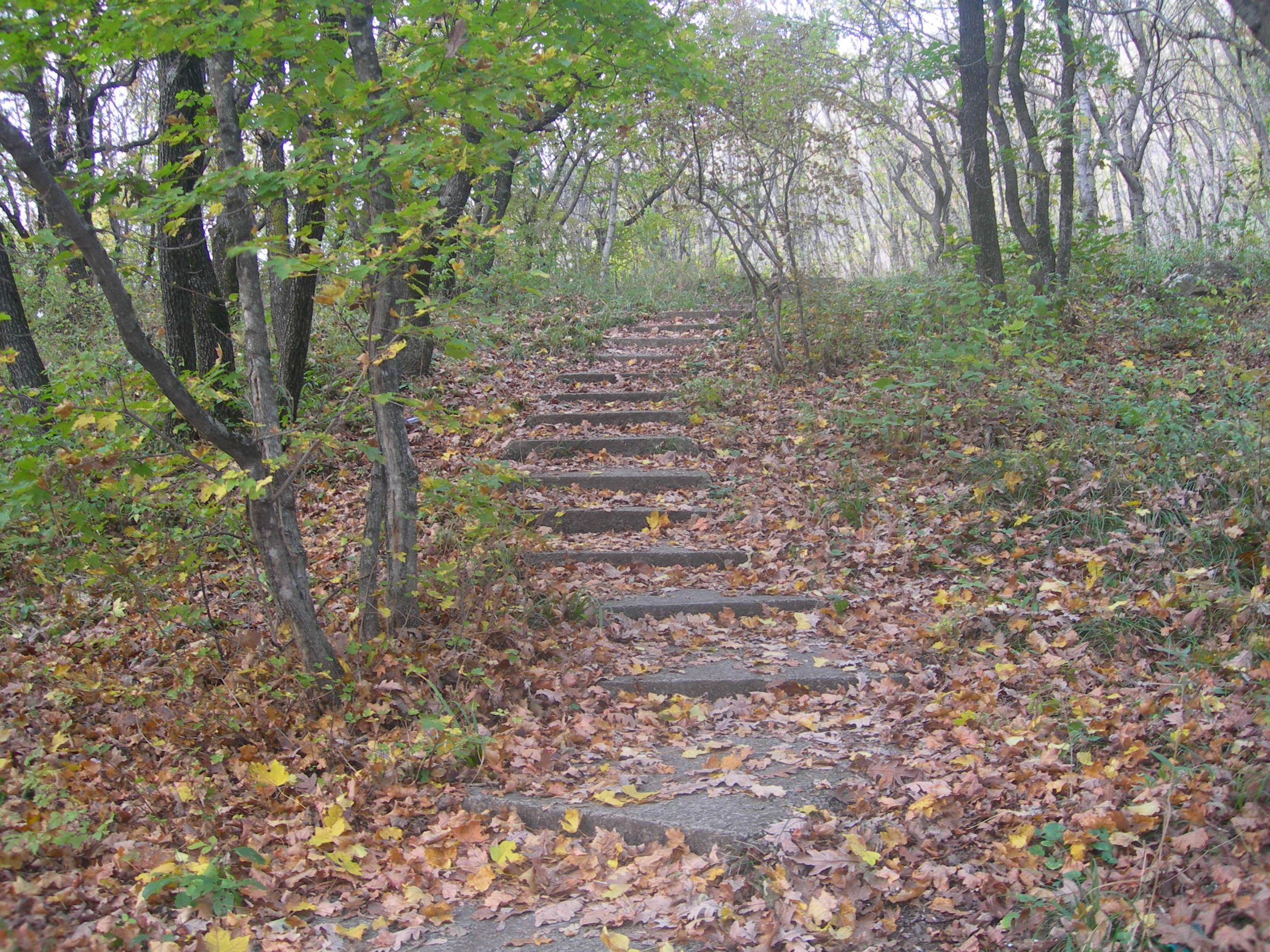 ОСЕННЕЕ СОЛНЦЕ