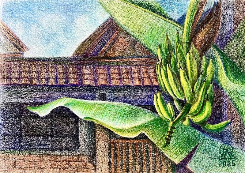 Мысли и домыслы... (685)