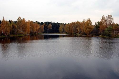 Тишина в Трубино.