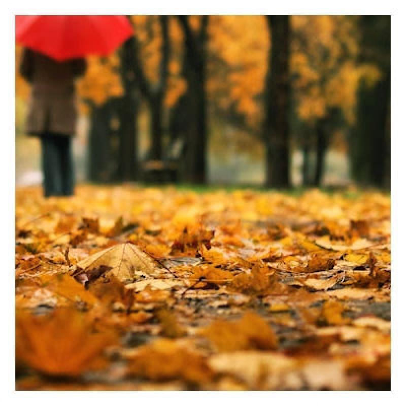 В моем городе осень