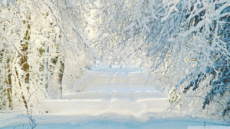 Вот и снег прилёг на землю