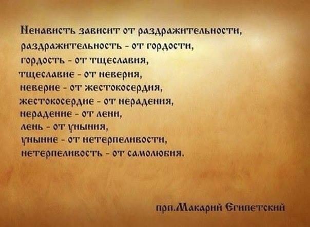 звено в цепи от 22. 06. 2011