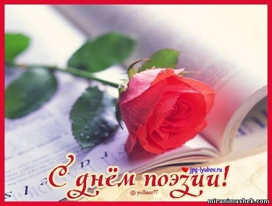 С ДНЁМ ПОЭЗИИ ДРУЗЬЯ !!!