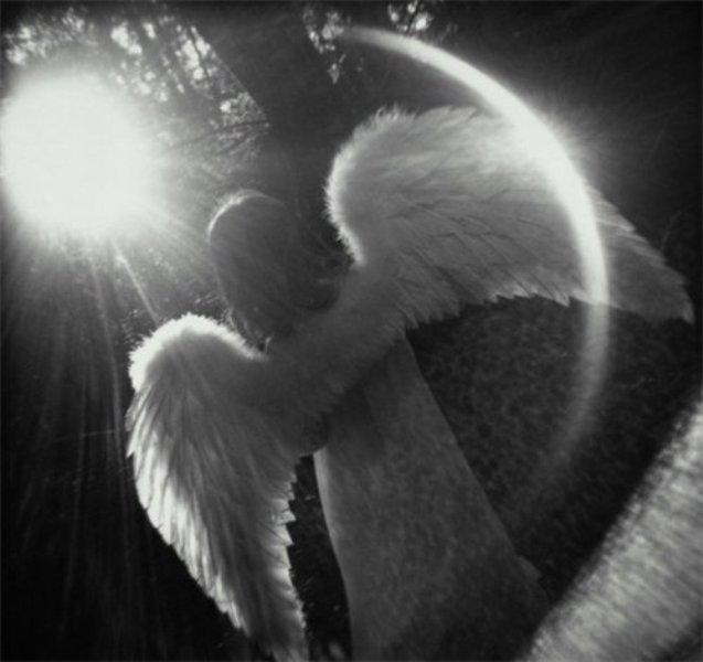 "Ангелу" (24.10.2014)