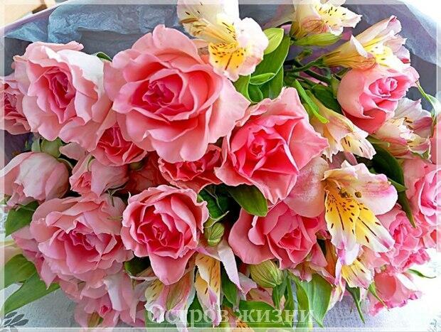 Радость. Прозаическая миниатюра