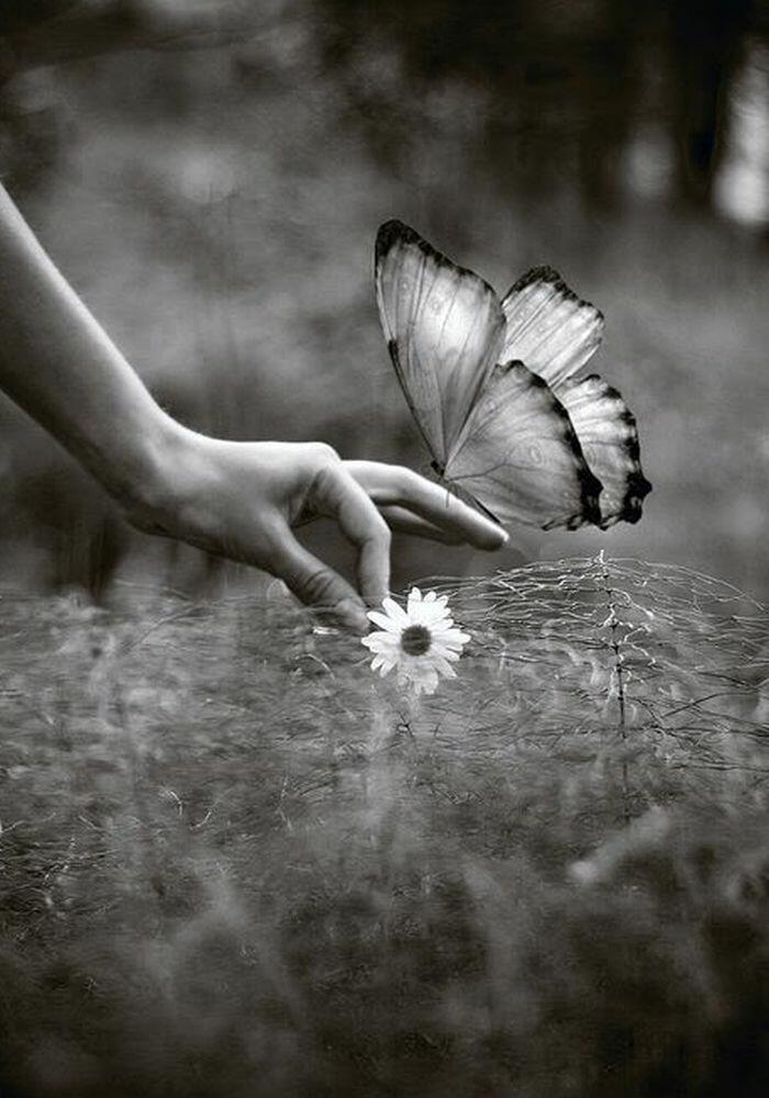 "Миру не хватает доброты!" (12.10.2019)