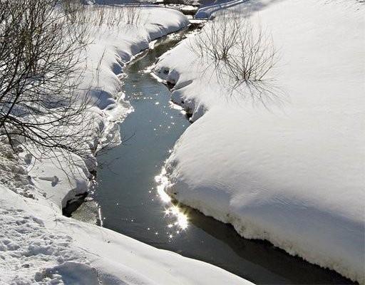 Когда тепло, когда поляны...