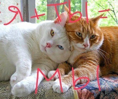 Кто ТЫ для меня. Несколько слов о Любимом...