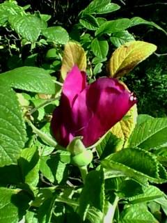 Первые осенние приметы...