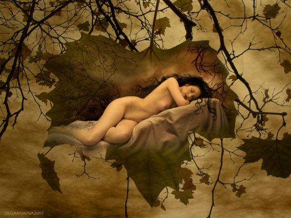 ОБНАЖЁННАЯ  ОСЕНЬ...