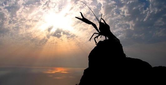 Рак просвистел, мужик перекрестился