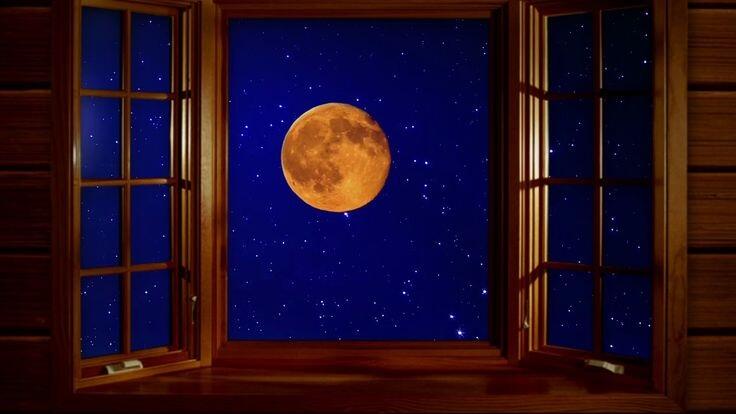 Собеседницы