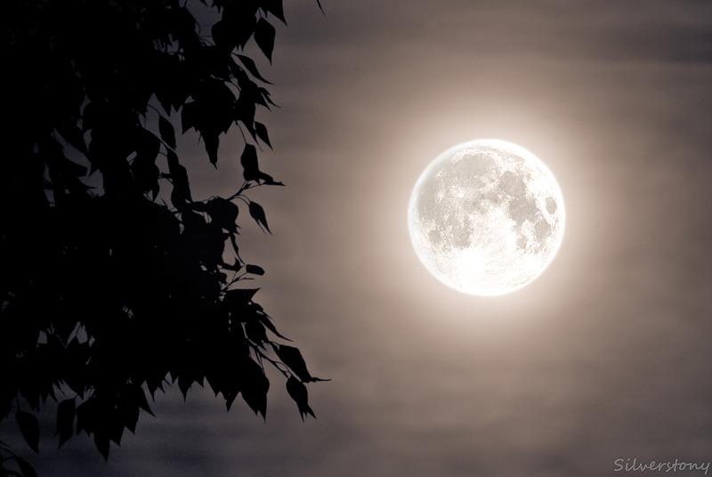 Люблю тебя мой Бог.