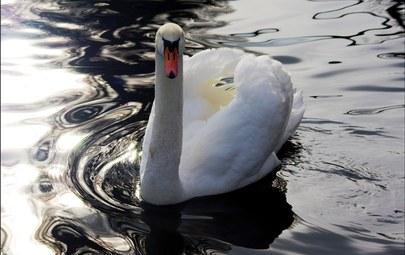 НЕ ПОЛУЧАЕТСЯ ДУЭТ