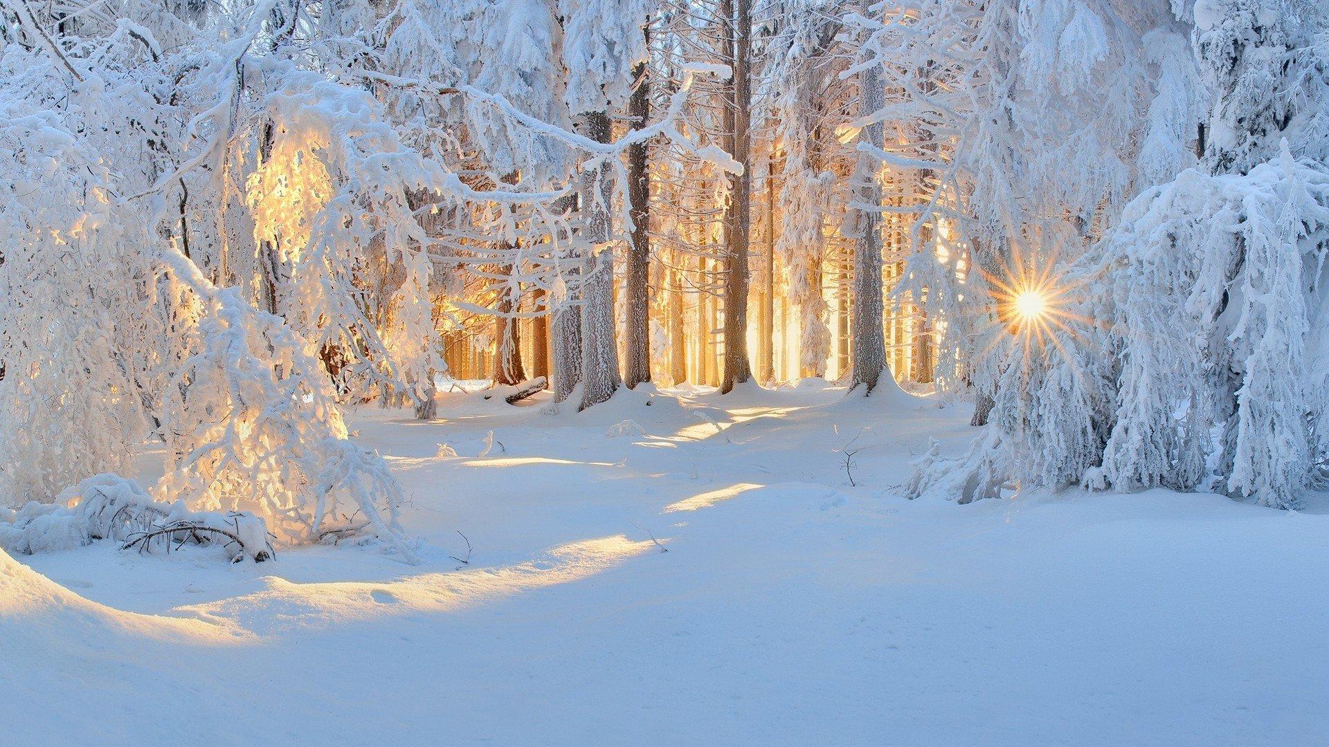 Зима – красавица