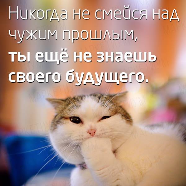 спасибость богу от 1. 10. 2010